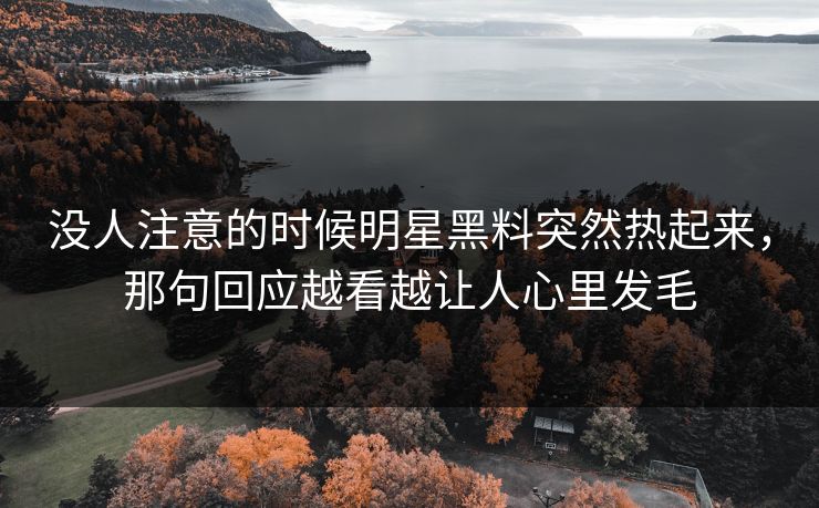 没人注意的时候明星黑料突然热起来，那句回应越看越让人心里发毛